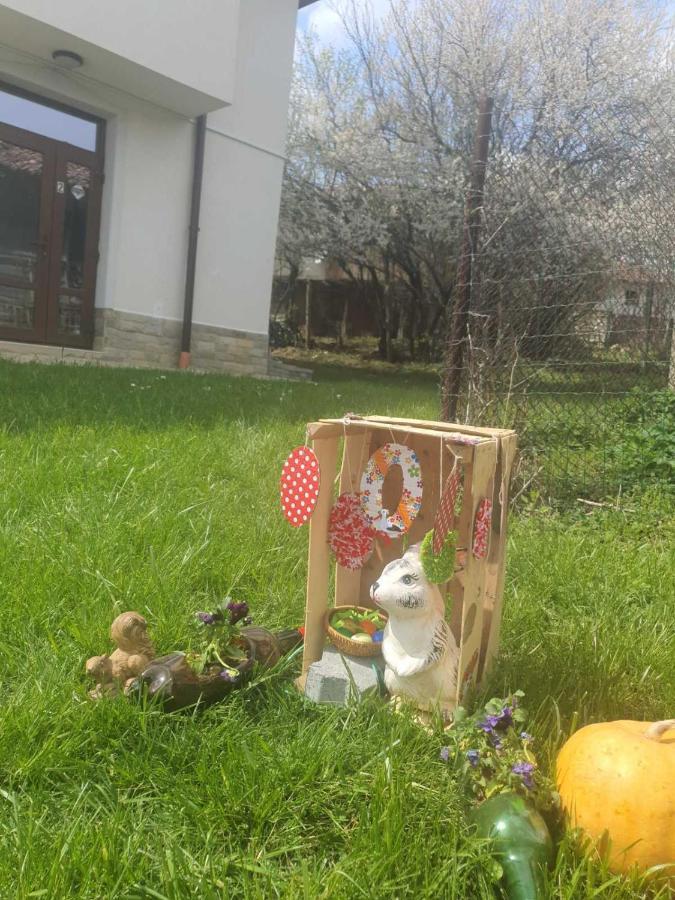 Бадевски Рай- Къща София 大特尔诺沃 外观 照片